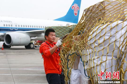 現場裝卸人員做好現場裝卸的安全裝運 李鵬程 攝